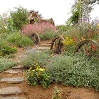 York Landscaping-Lawnmowing-Gardening-Mulching image 1